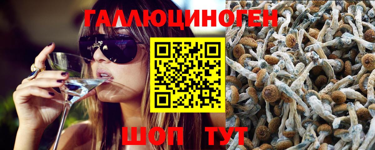 Галлюциногенные грибы прущие грибы Балашиха