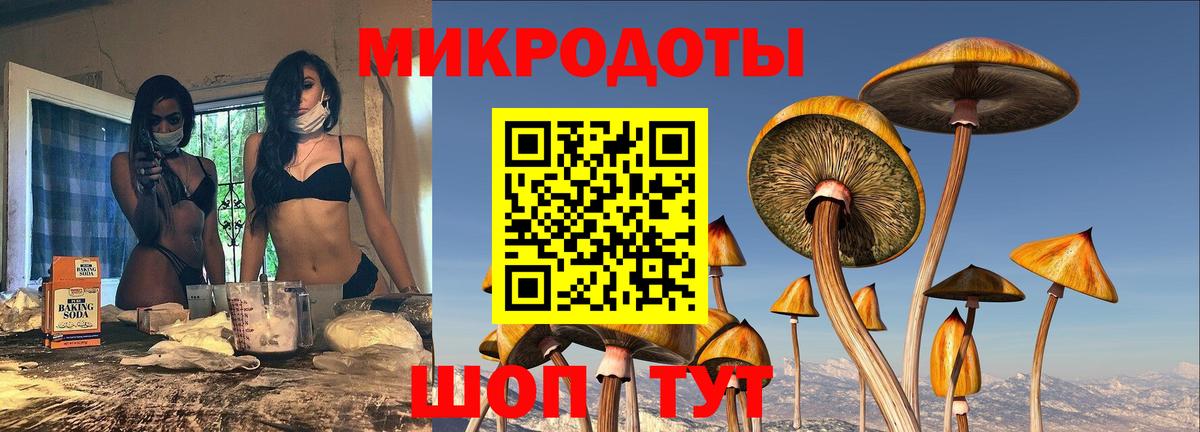 Псилоцибиновые грибы Cubensis  Вход с VPN  наркошоп  Балашиха  Галлюциногенные грибы мухоморы 